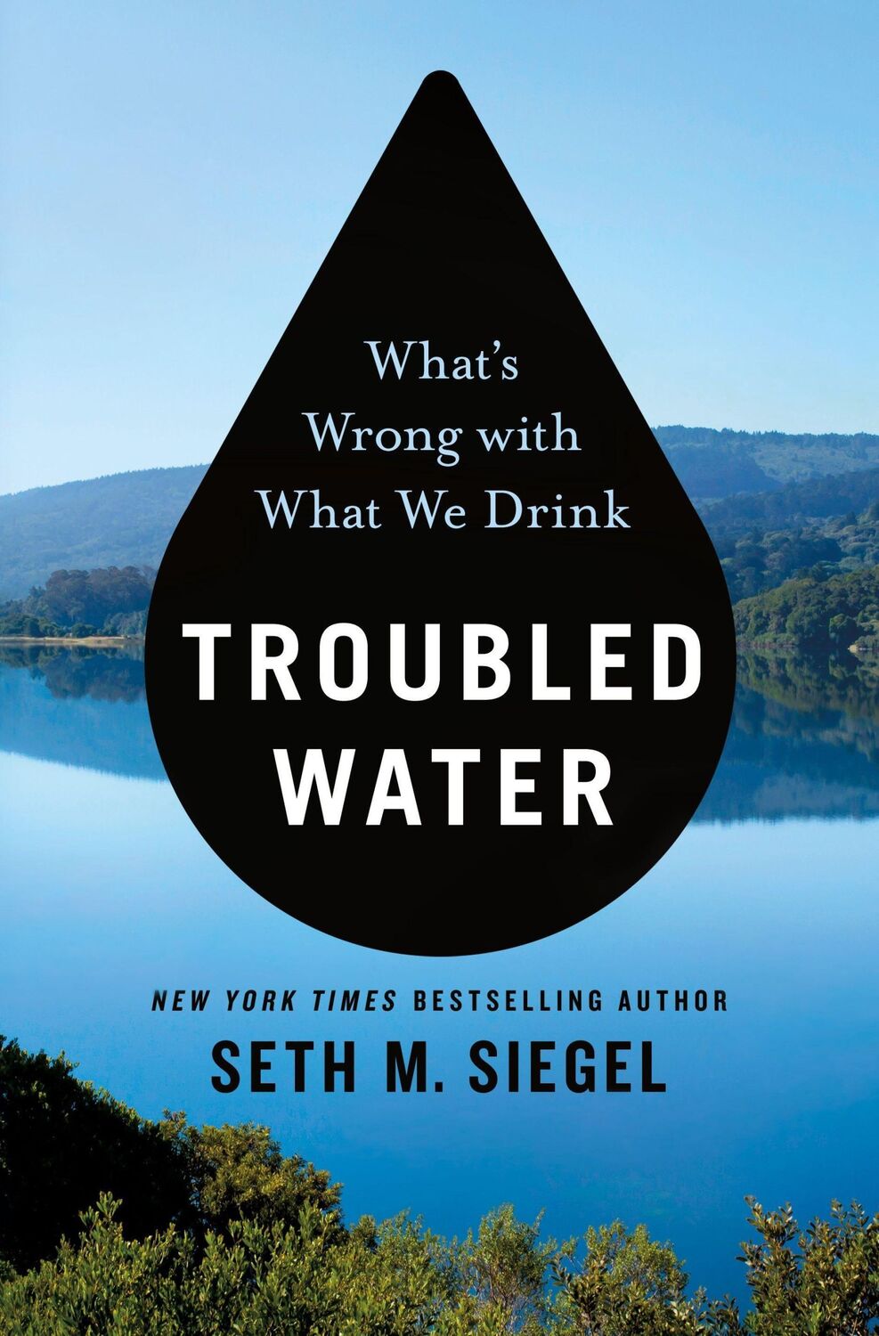 Cover: 9781250132543 | Troubled Water | What's Wrong with What We Drink | Seth M Siegel