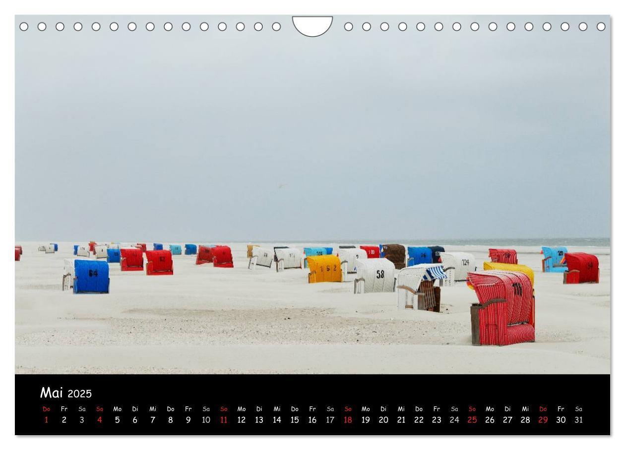 Bild: 9783435827671 | Amrum (Wandkalender 2025 DIN A4 quer), CALVENDO Monatskalender | 2025