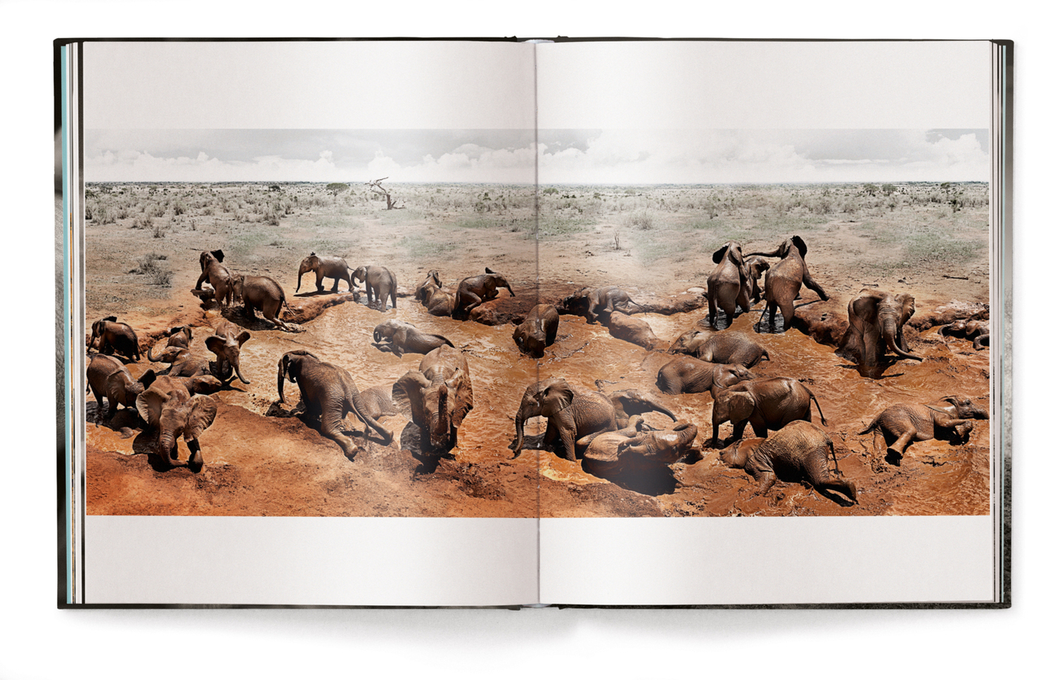 Bild: 9783961710478 | Elephants in Heaven | Joachim Schmeisser | Buch | 176 S. | Deutsch