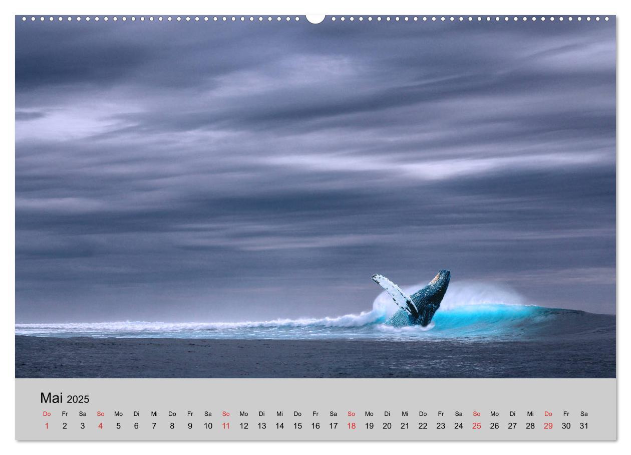 Bild: 9783435316700 | Am Meer. Sehnsucht Wasser (Wandkalender 2025 DIN A2 quer), CALVENDO...