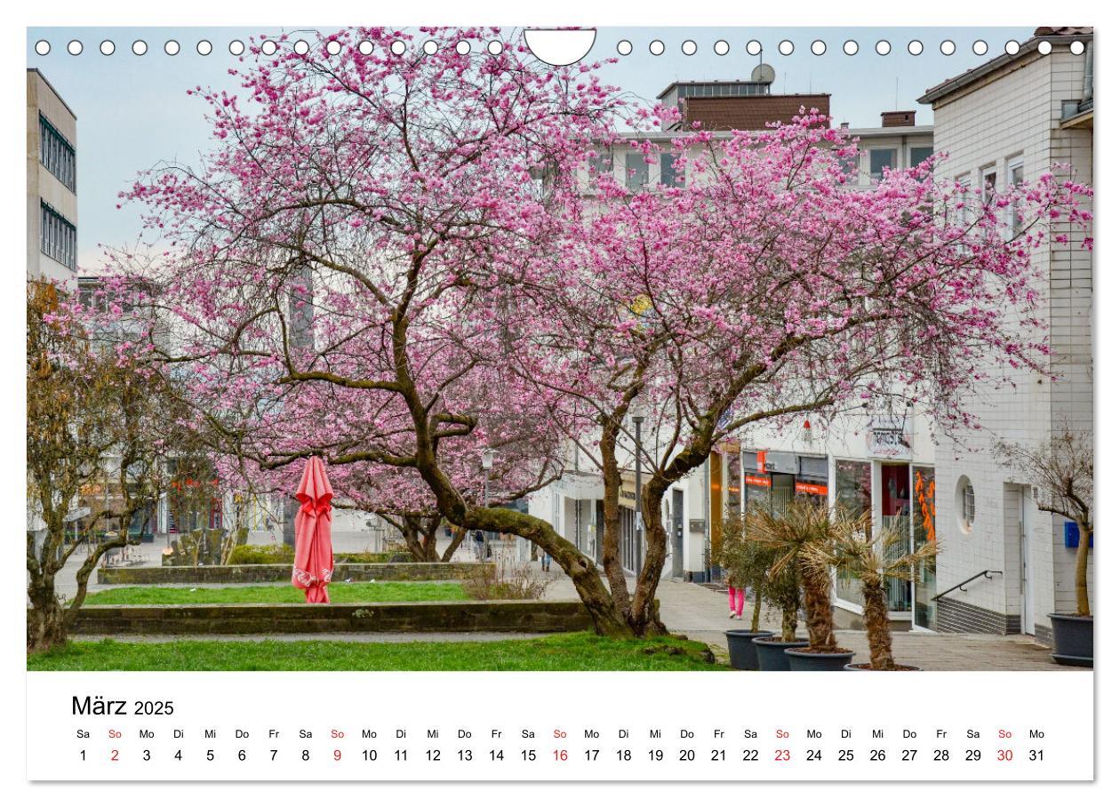 Bild: 9783435291274 | Kassel - Impressionen (Wandkalender 2025 DIN A4 quer), CALVENDO...