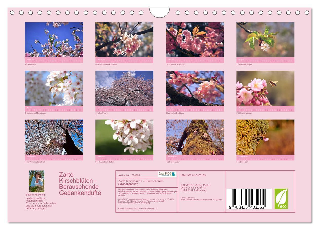 Bild: 9783435403165 | Zarte Kirschblüten - Berauschende Gedankendüfte (Wandkalender 2025...