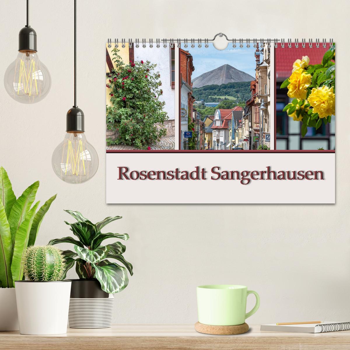 Bild: 9783435225545 | Rosenstadt Sangerhausen (Wandkalender 2025 DIN A4 quer), CALVENDO...