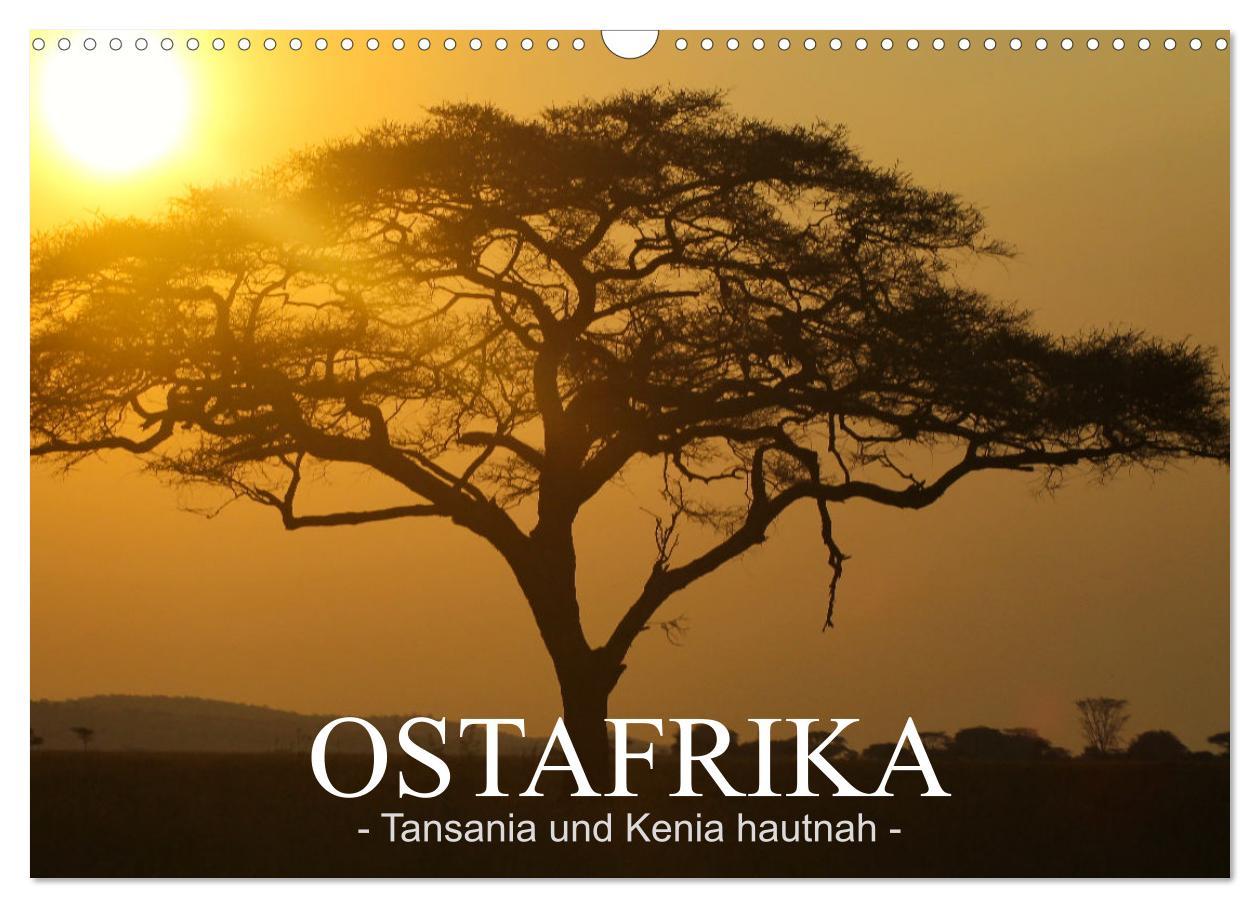 Cover: 9783435093427 | Ostafrika - Tansania und Kenia hautnah (Wandkalender 2025 DIN A3...