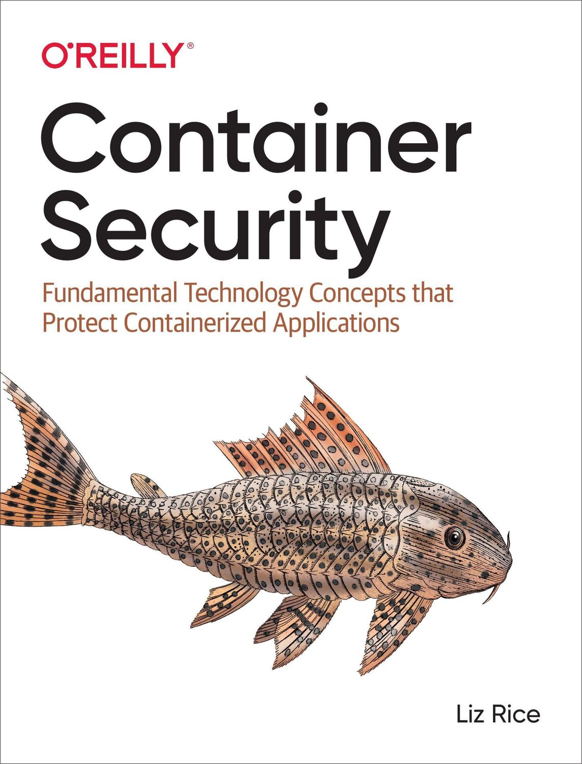 Cover: 9781492056706 | Container Security | Liz Rice | Taschenbuch | Kartoniert / Broschiert