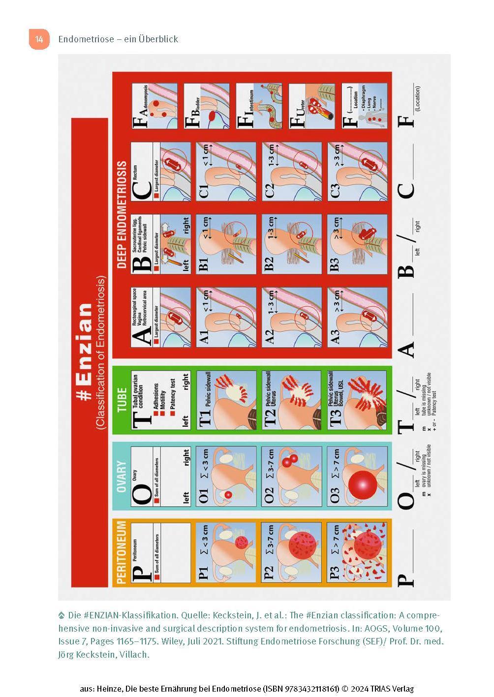 Bild: 9783432118161 | Die beste Ernährung bei Endometriose | Nicole R. Heinze | Taschenbuch