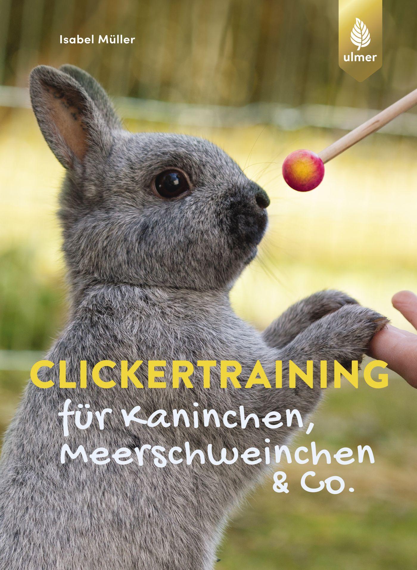 Cover: 9783818605667 | Clickertraining für Kaninchen, Meerschweinchen &amp; Co. | Isabel Müller