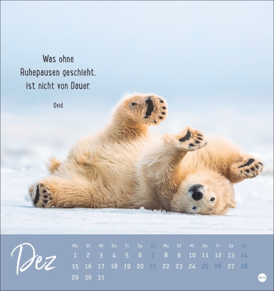 Bild: 9783756407132 | Never give up! Postkartenkalender 2025 | Kalender | Spiralbindung