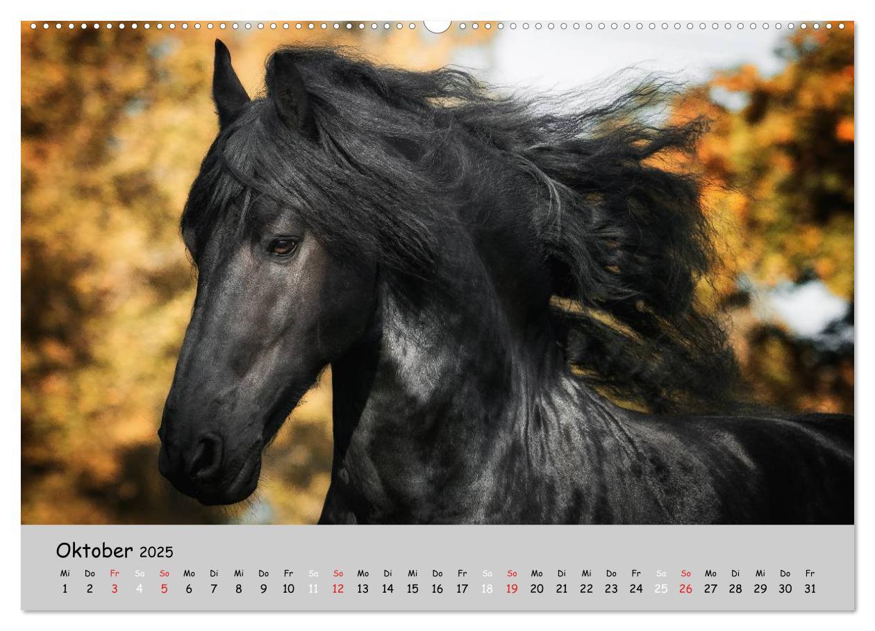 Bild: 9783435563074 | Pferde - Anmut und Stärke gepaart mit Magie (Wandkalender 2025 DIN...