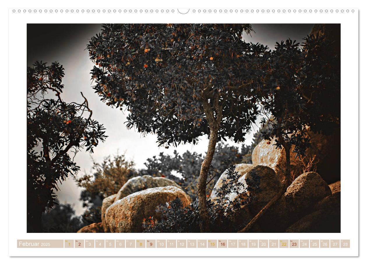 Bild: 9783435419531 | Sardinien Impressionen (Wandkalender 2025 DIN A2 quer), CALVENDO...