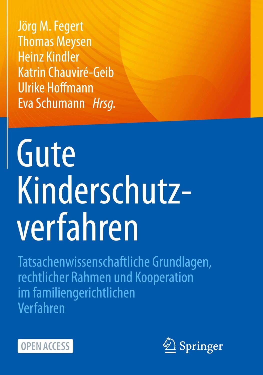 Cover: 9783662668993 | Gute Kinderschutzverfahren | Jörg M. Fegert (u. a.) | Taschenbuch