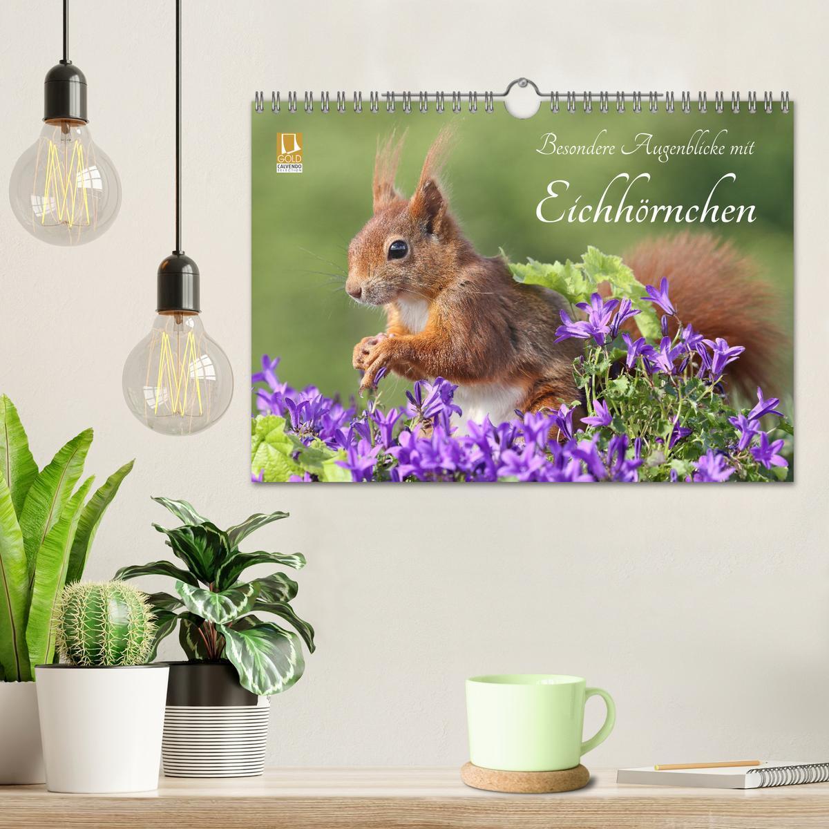 Bild: 9783435567027 | Besondere Augenblicke mit Eichhörnchen (Wandkalender 2025 DIN A4...