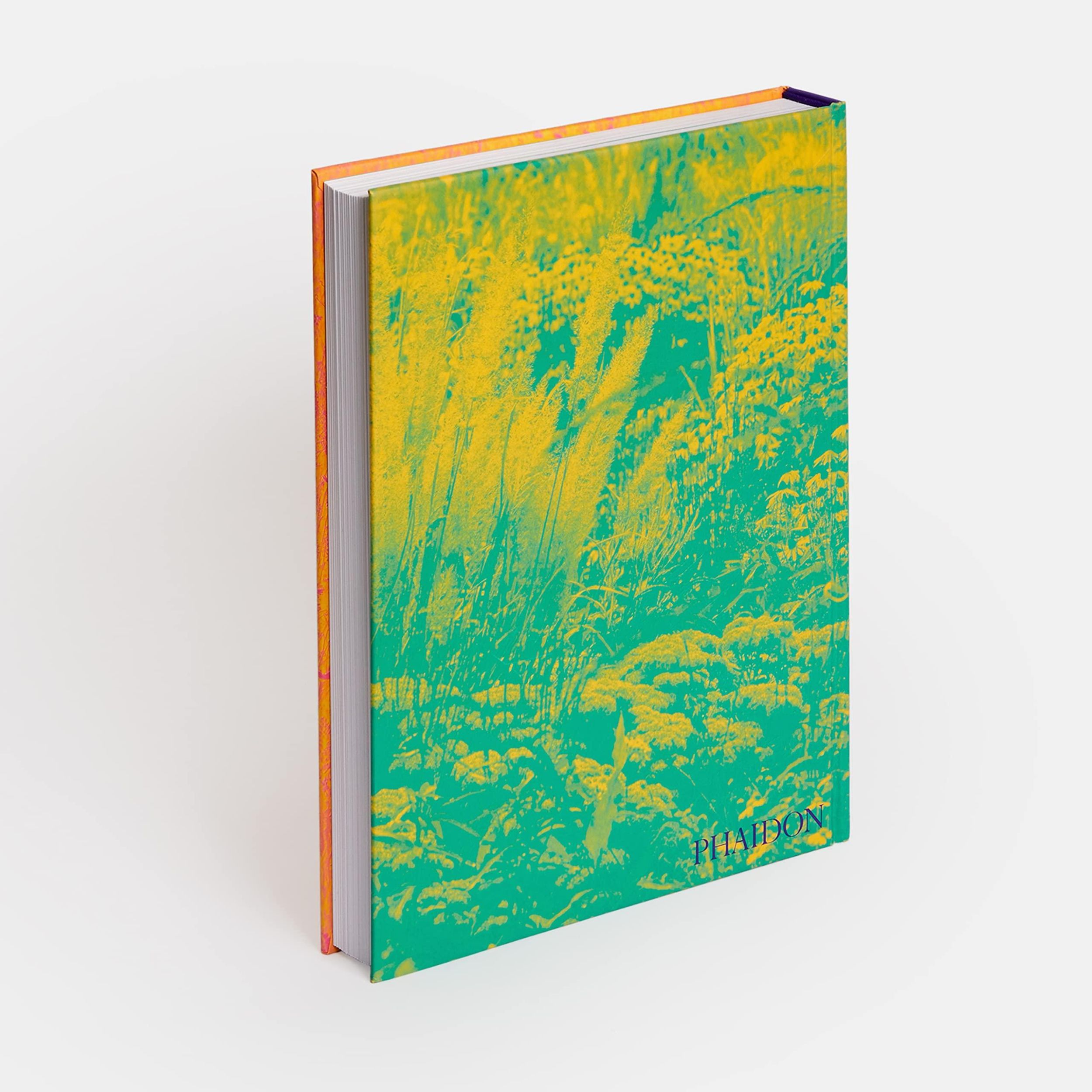 Bild: 9781838661052 | Wild | The Naturalistic Garden | Noel Kingsbury | Buch | Phaidon Press