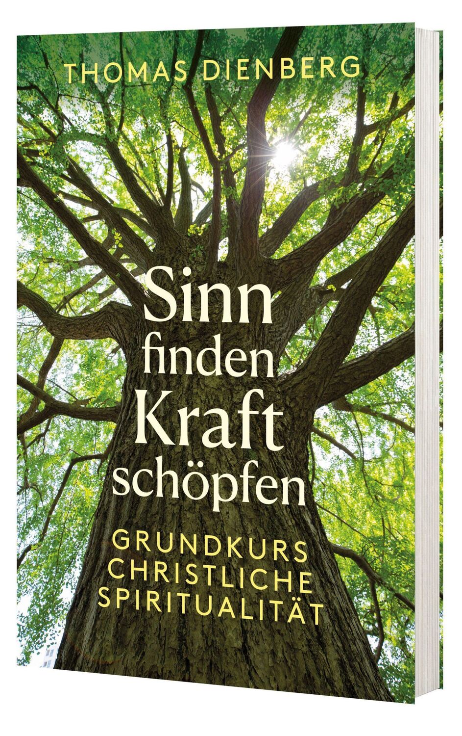 Cover: 9783460255616 | Sinn finden - Kraft schöpfen | Grundkurs christliche Spiritualität