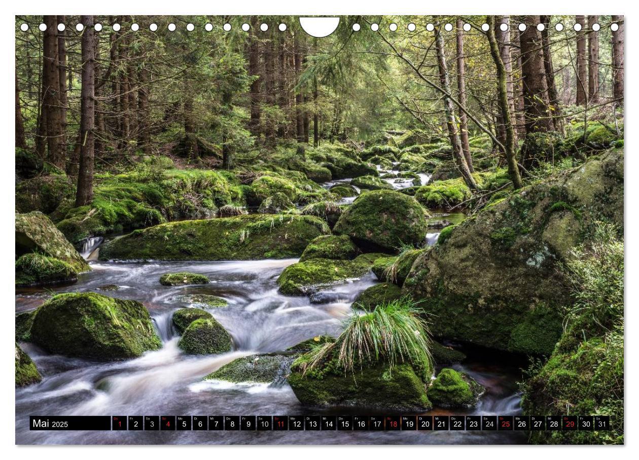 Bild: 9783435538850 | Der Harz einfach magisch (Wandkalender 2025 DIN A4 quer), CALVENDO...