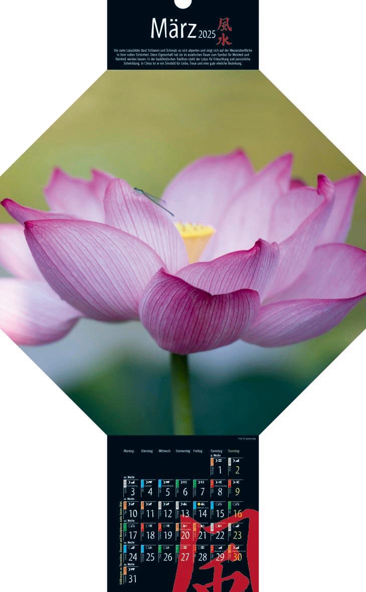 Bild: 9783948276300 | Feng-Shui-Kalender 2025 | Vision Creativ Verlag | Kalender | 15 S.