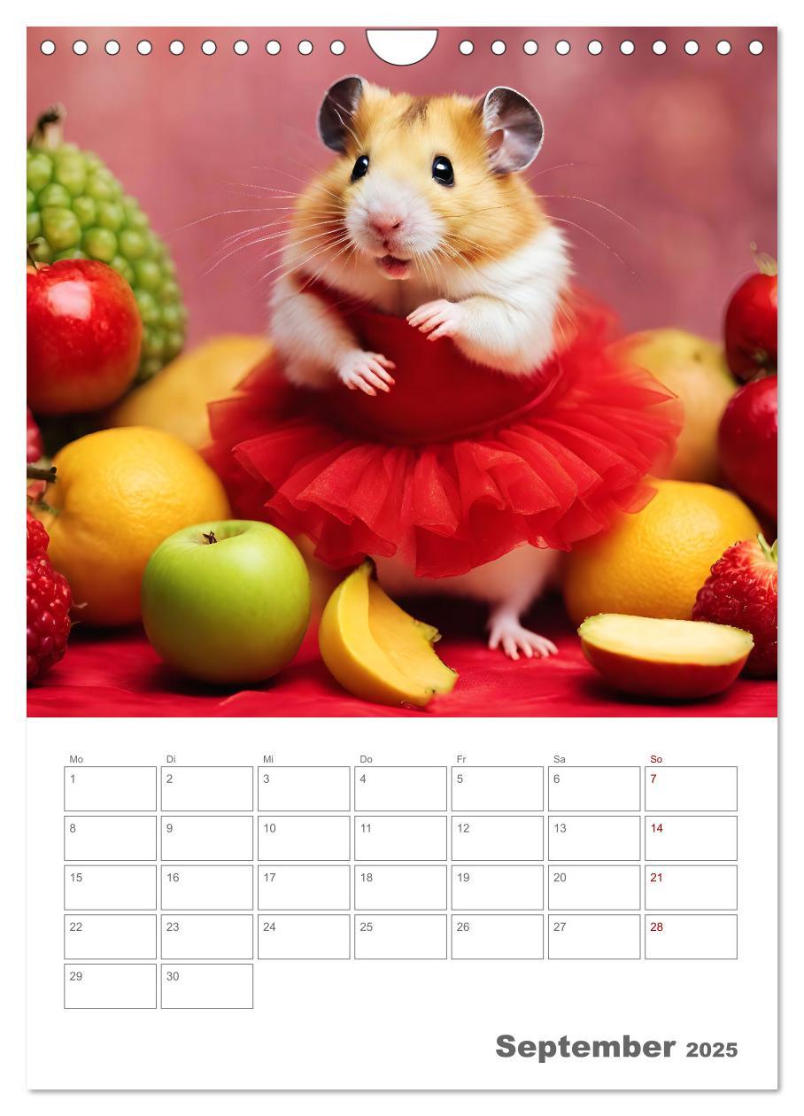 Bild: 9783383821066 | Ballerina Hamster - Eine Sinfonie aus zuckersüße KI Hamstern in...