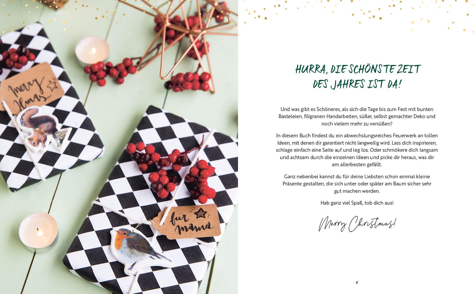 Bild: 9783745912180 | DIY - Do it yourself - Merry christmas | Wiebke Schröder (u. a.)