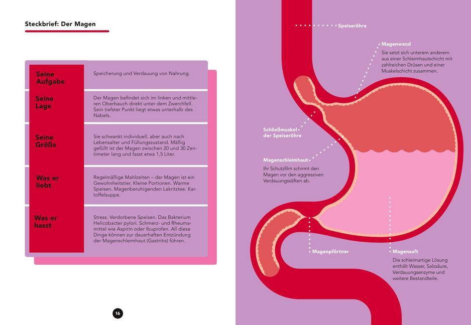 Bild: 9783833872549 | Dr. Food für Magen, Darm &amp; Verdauung | Martin Storr (u. a.) | Buch