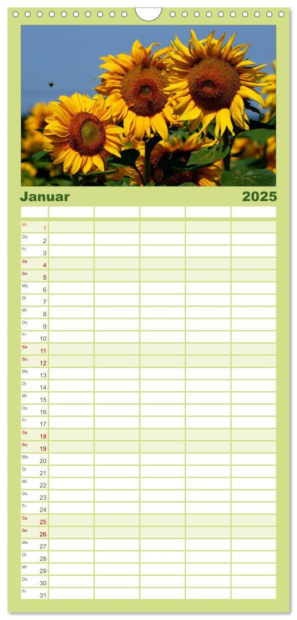 Bild: 9783457110928 | Familienplaner 2025 - Sonnenblumen mit 5 Spalten (Wandkalender, 21...