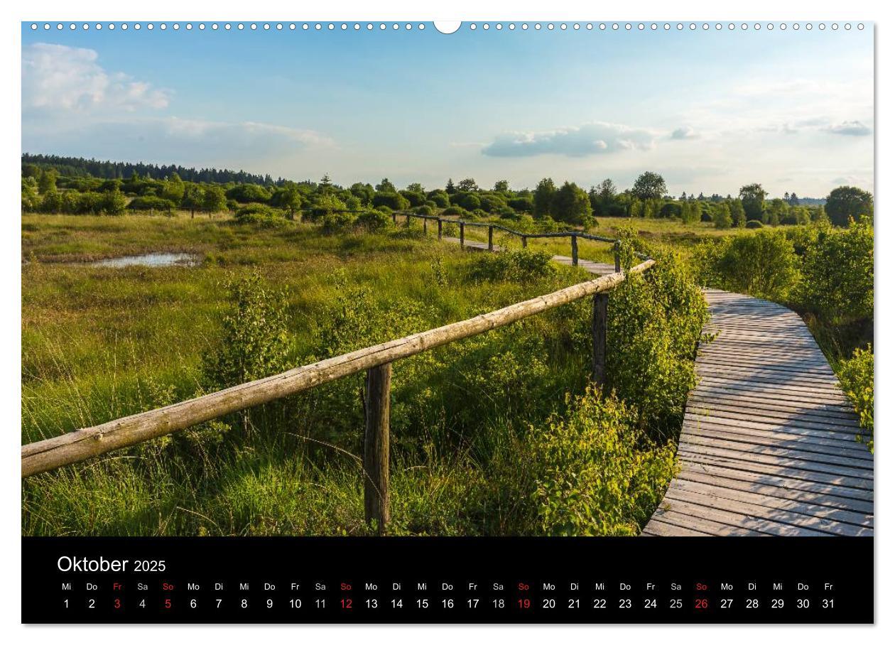 Bild: 9783435557288 | HOHES VENN - Einblicke in ein Hochmoor (Wandkalender 2025 DIN A2...