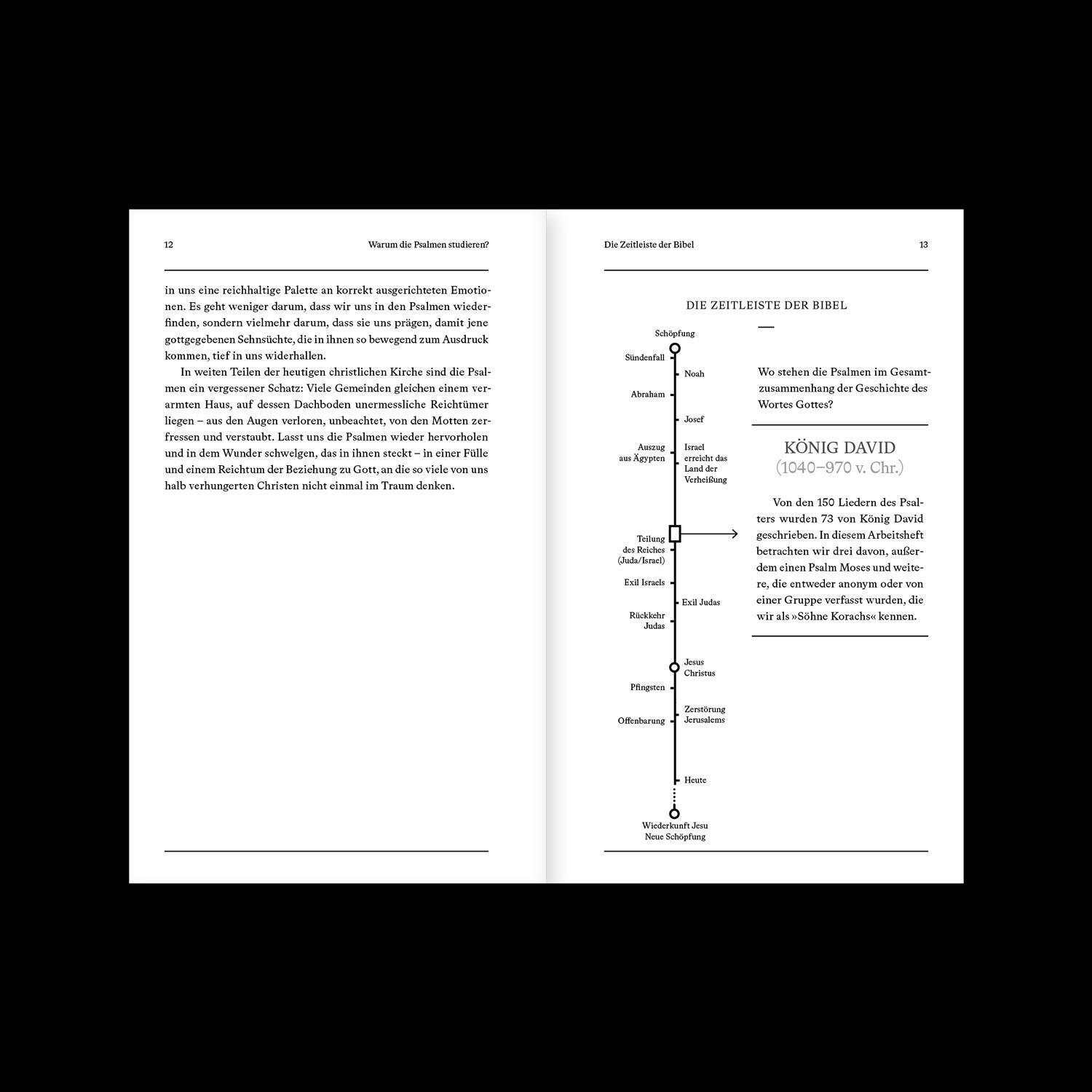 Bild: 9783986650568 | Die Bibel erklärt: Psalmen (Arbeitsheft) | Christopher Ash | Buch