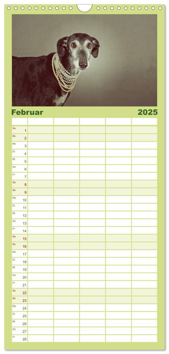 Bild: 9783457112526 | Familienplaner 2025 - Der Windhundekalender mit 5 Spalten...