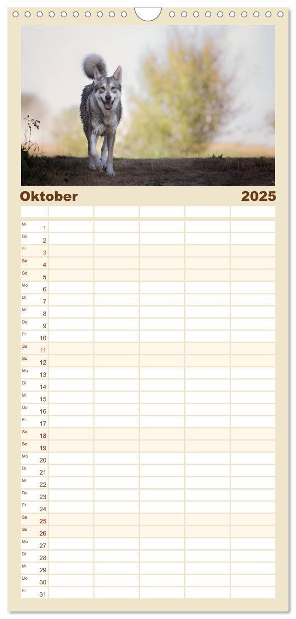 Bild: 9783457117187 | Familienplaner 2025 - Wolfshunde 2025 mit 5 Spalten (Wandkalender,...