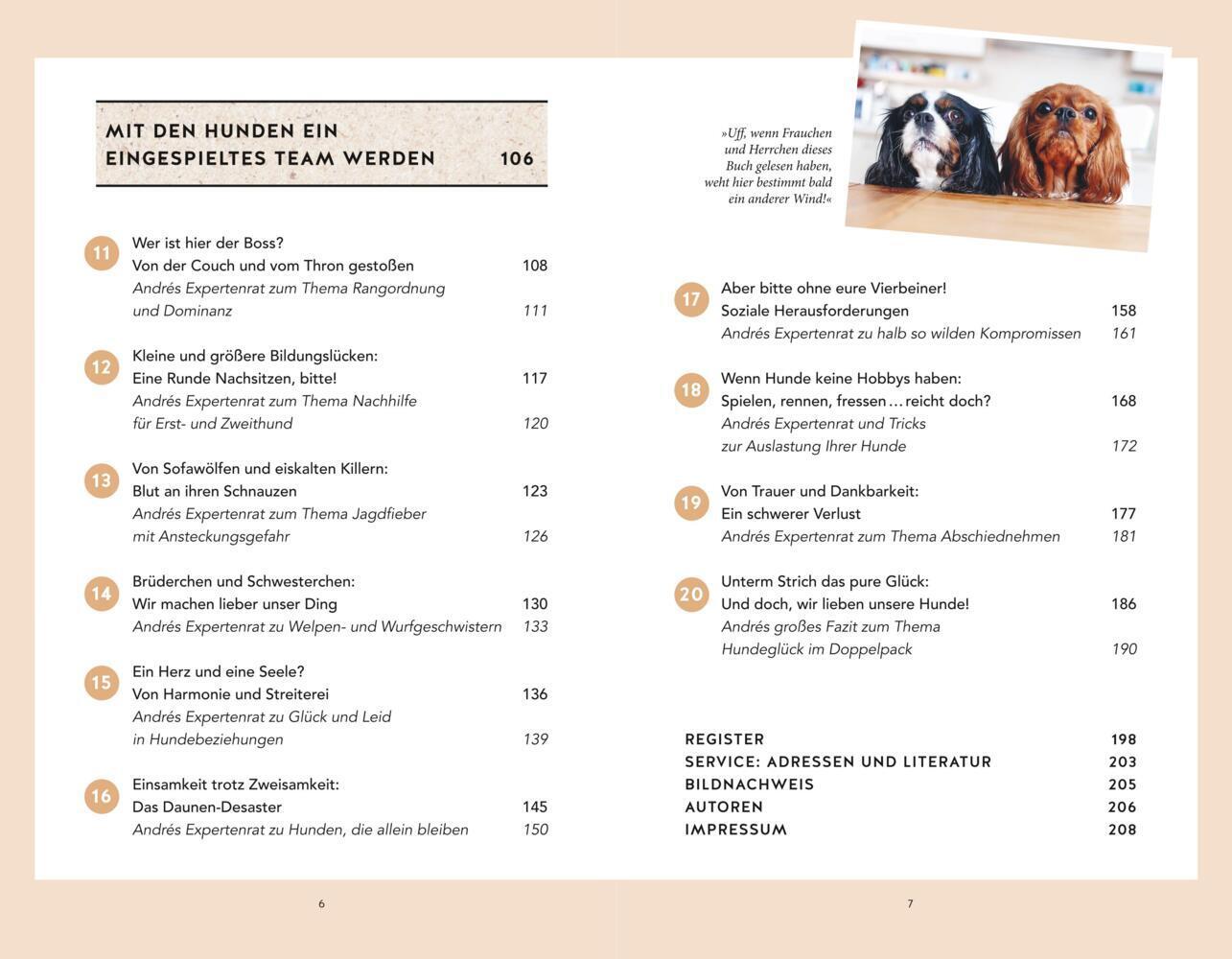 Bild: 9783833878985 | Wahres Hundeglück im Doppelpack | Julie Leuze (u. a.) | Buch | 208 S.