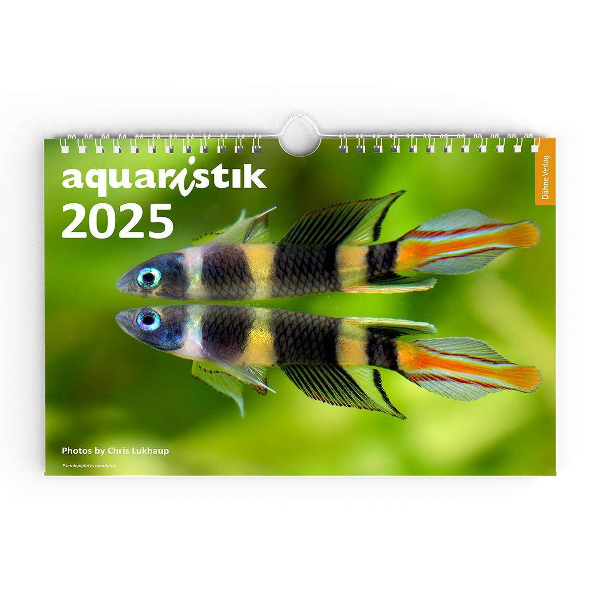 Cover: 9783911226011 | aquaristik Kalender 2025 | Chris Lukhaup | Kalender | 13 S. | Deutsch