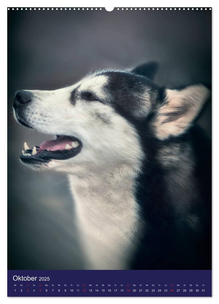 Bild: 9783457011300 | Huskies - Artwork (Wandkalender 2025 DIN A2 hoch), CALVENDO...