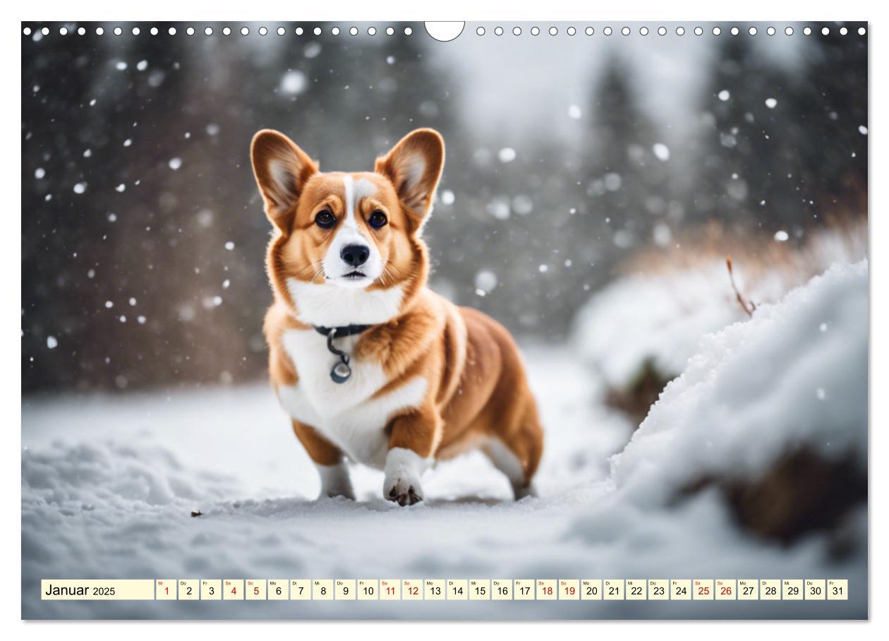 Bild: 9783435244447 | Welsh Corgi Pembroke (Wandkalender 2025 DIN A3 quer), CALVENDO...