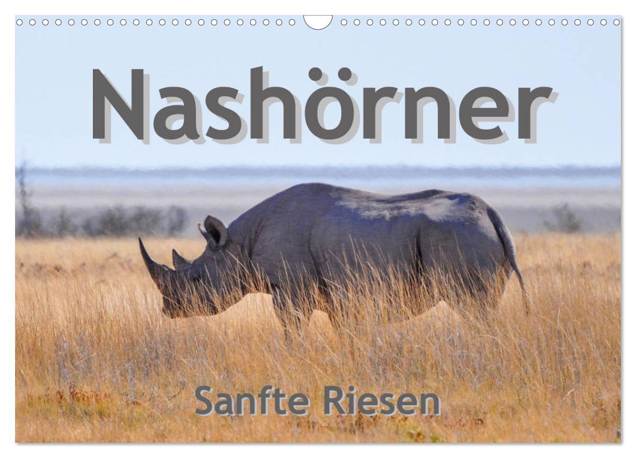 Cover: 9783435331581 | Nashörner - Sanfte Riesen (Wandkalender 2025 DIN A3 quer), CALVENDO...