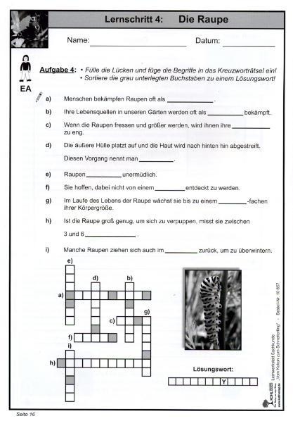 Bild: 9783866326576 | Lernwerkstatt - Vom Kokon zum Schmetterling | Quast | Taschenbuch