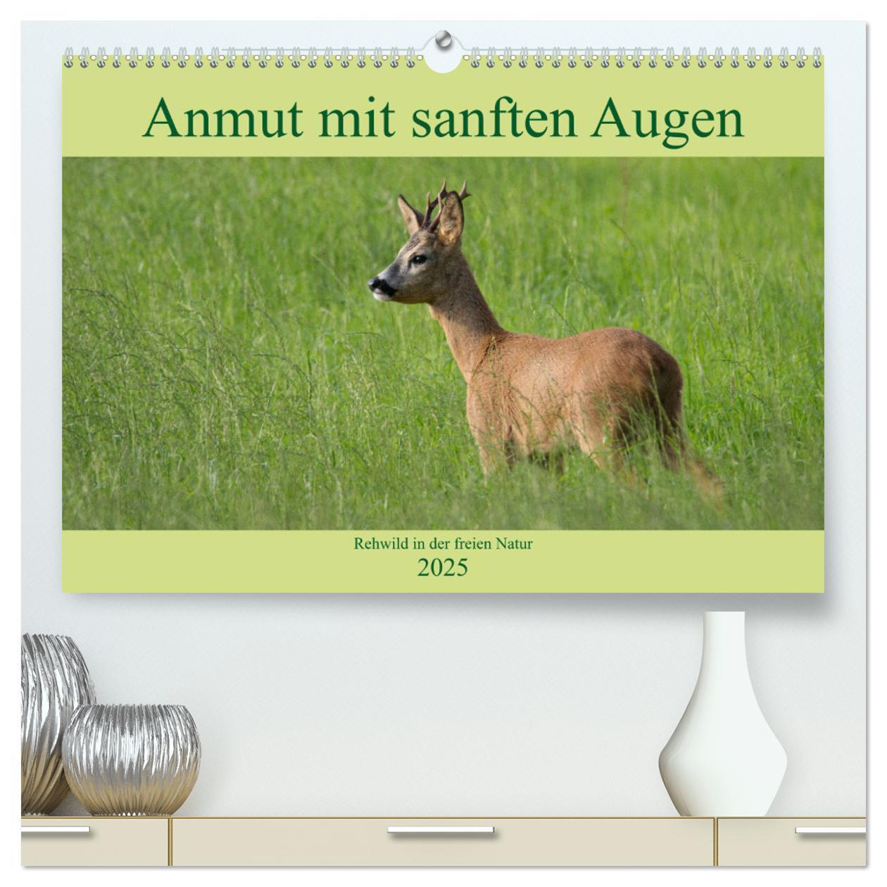 Cover: 9783435339426 | Anmut mit sanften Augen - Rehwild in der freien Natur (hochwertiger...