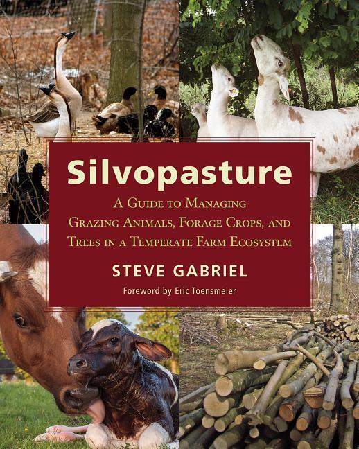 Cover: 9781603587310 | Silvopasture | Steve Gabriel | Taschenbuch | Englisch | 2018