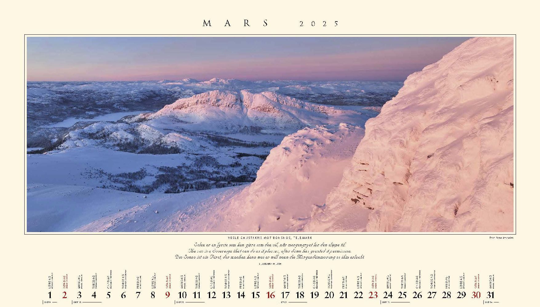 Bild: 9783930232970 | Panorama Norwegen 2025 Tischkalender | Kalender | In Schuber | Deutsch