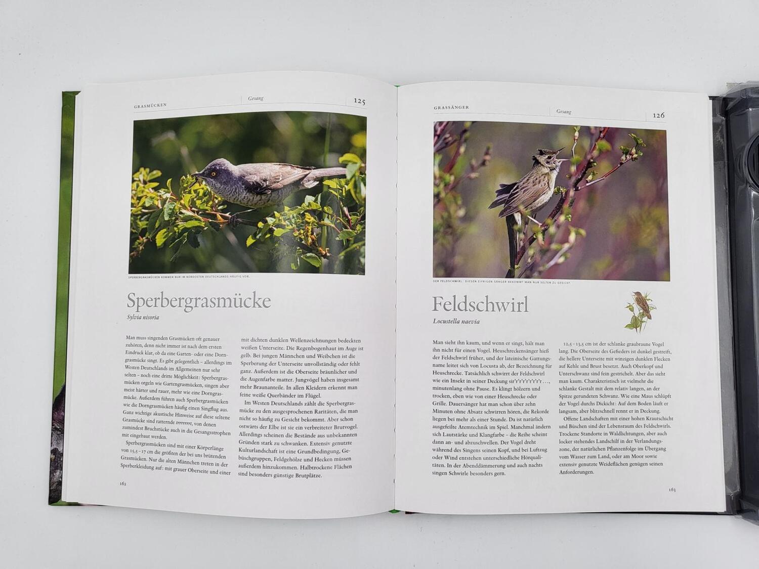 Bild: 9783890294223 | Vogelstimmen | Unsere Vögel und ihr Gesang | Jan Pedersen (u. a.)