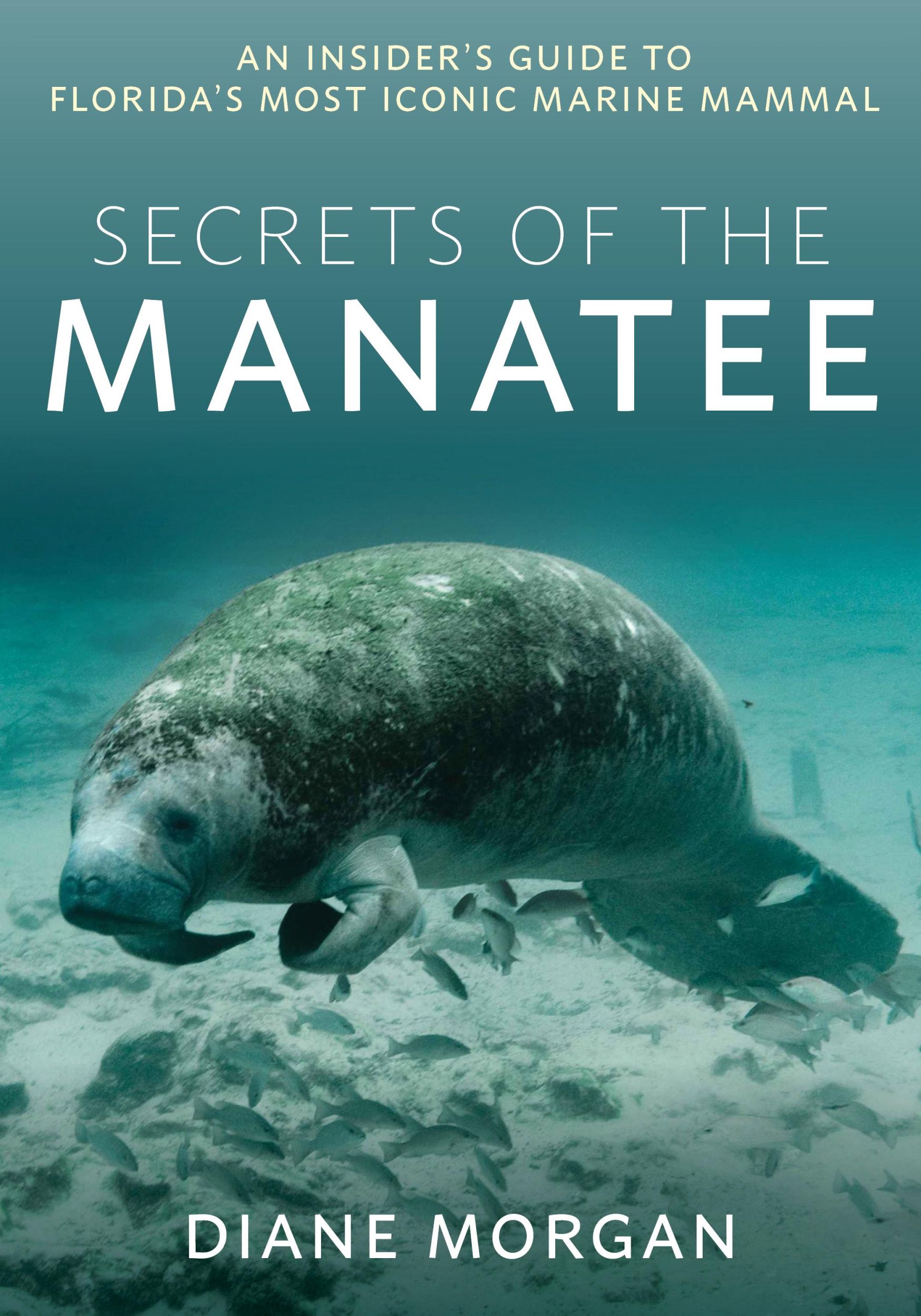 Cover: 9781683343486 | Secrets of the Manatee | Diane Morgan | Taschenbuch | Englisch | 2023