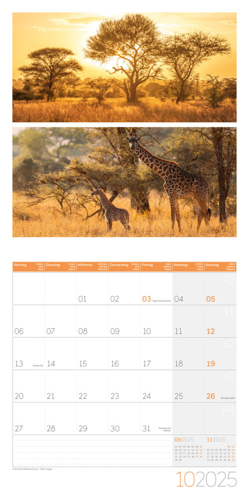 Bild: 9783838445014 | Colours of Nature Kalender 2025 - 30x30 | Ackermann Kunstverlag | 2025