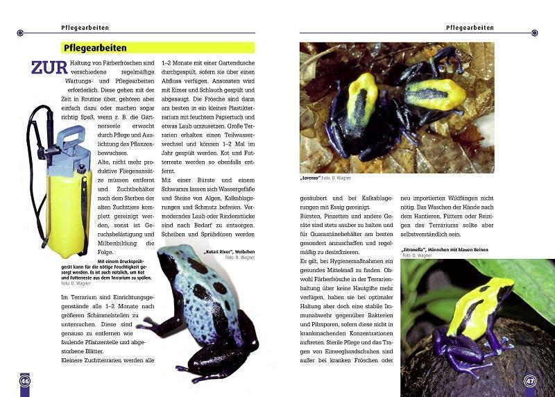 Bild: 9783866590694 | Der Färberfrosch - Dendrobates Tinctorius | Dirk Wagner | Taschenbuch