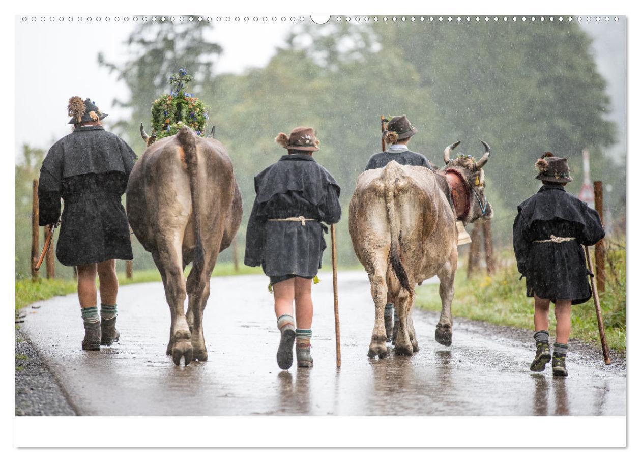 Bild: 9783383965920 | Heimweh Allgäu 2025 (hochwertiger Premium Wandkalender 2025 DIN A2...