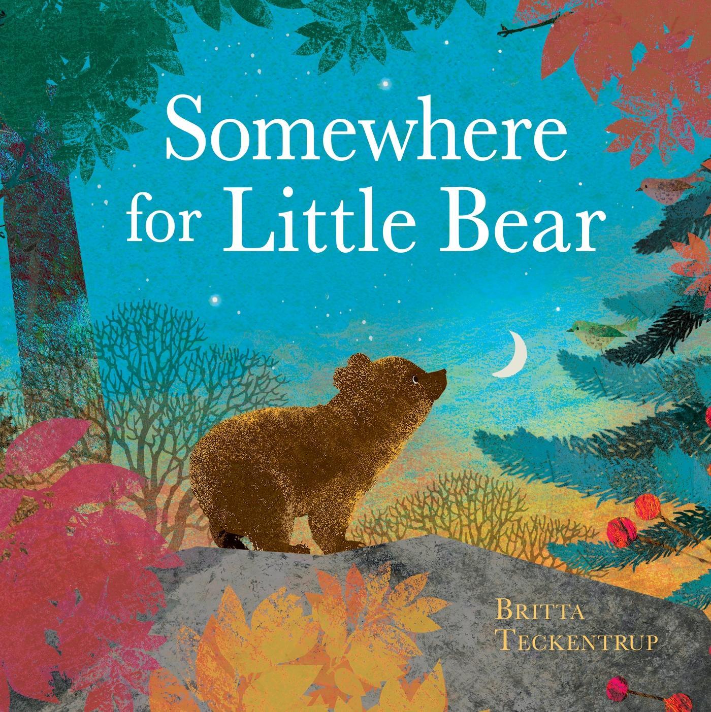 Cover: 9781408359723 | Somewhere for Little Bear | Britta Teckentrup | Taschenbuch | 32 S.