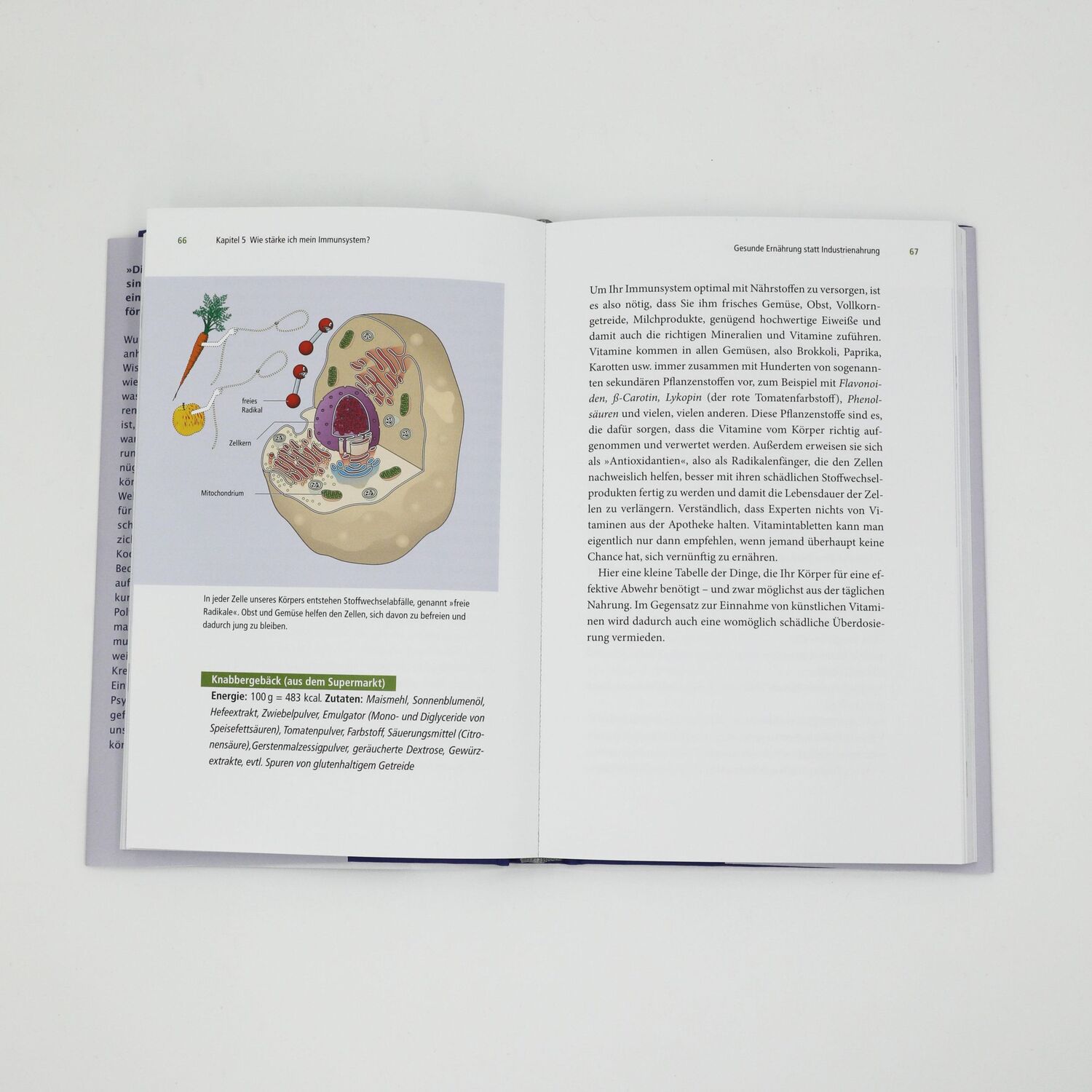 Bild: 9783423282277 | Unser erstaunliches Immunsystem | Marianne Koch | Buch | 208 S. | 2020