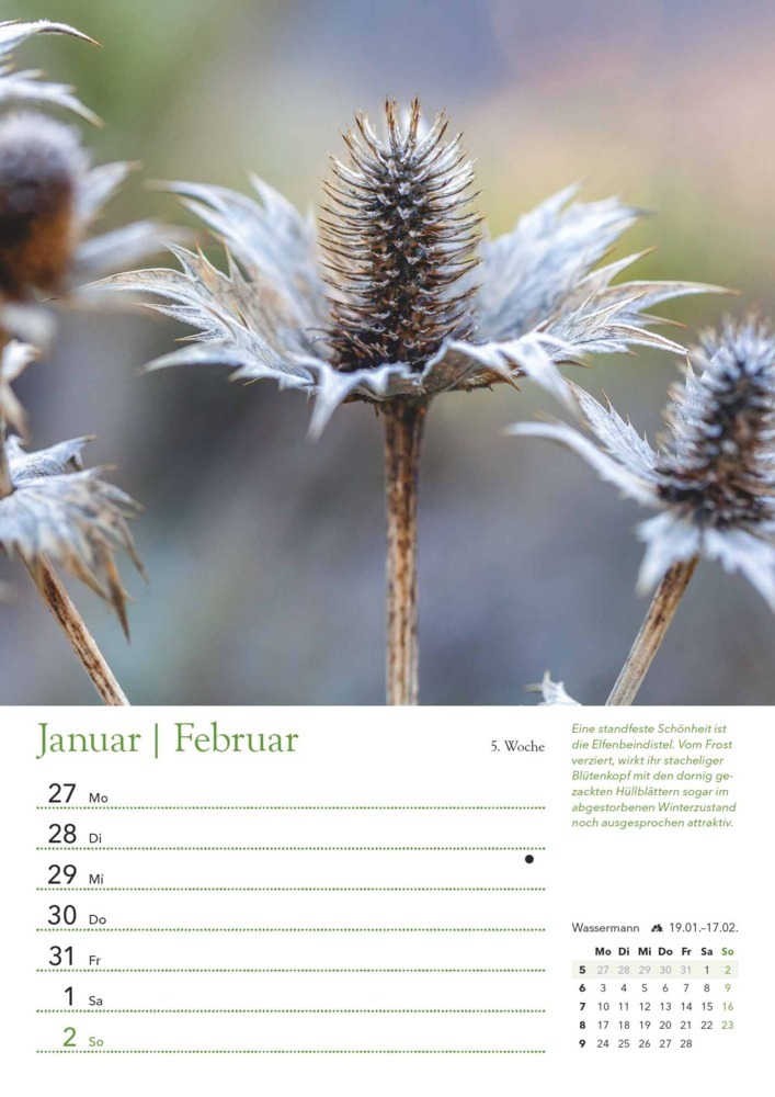 Bild: 4250809653501 | DUMONT - Ein Jahr in meinem Garten 2025 Wochenkalender, 21x29,7cm,...