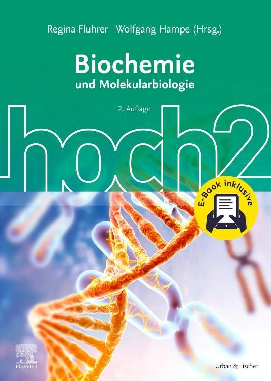 Cover: 9783437434327 | Biochemie hoch2 | und Molekularbiologie | Wolfgang Hampe | Taschenbuch