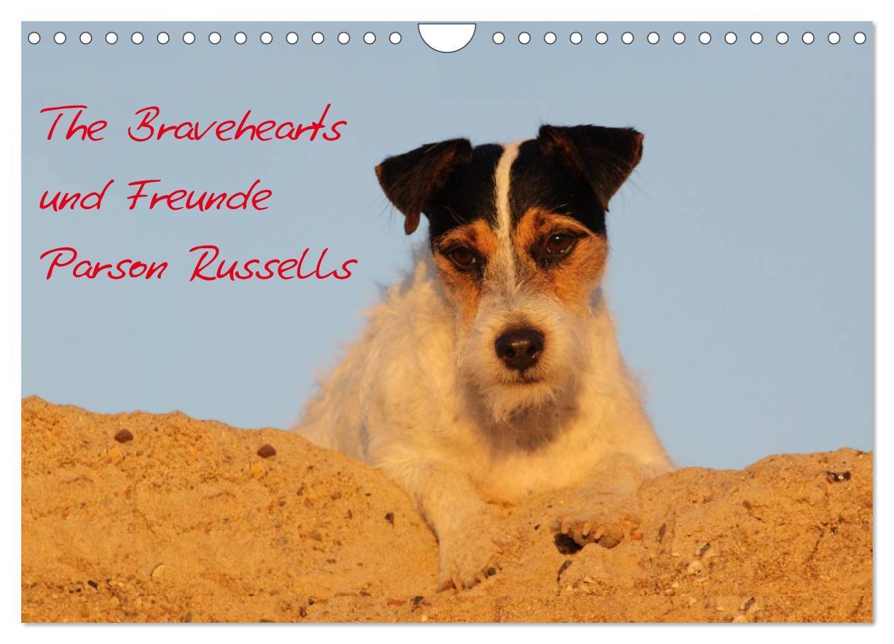 Cover: 9783435518173 | The Bravehearts und Freunde - Parson Russells (Wandkalender 2025...