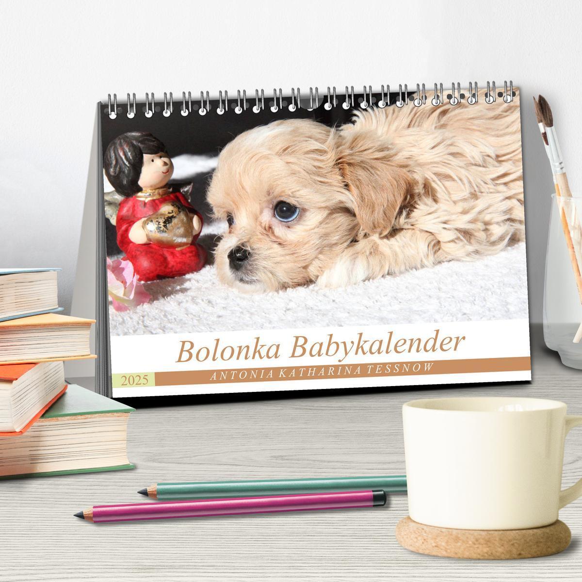 Bild: 9783435414871 | Bolonka Babykalender 2025 (Tischkalender 2025 DIN A5 quer),...