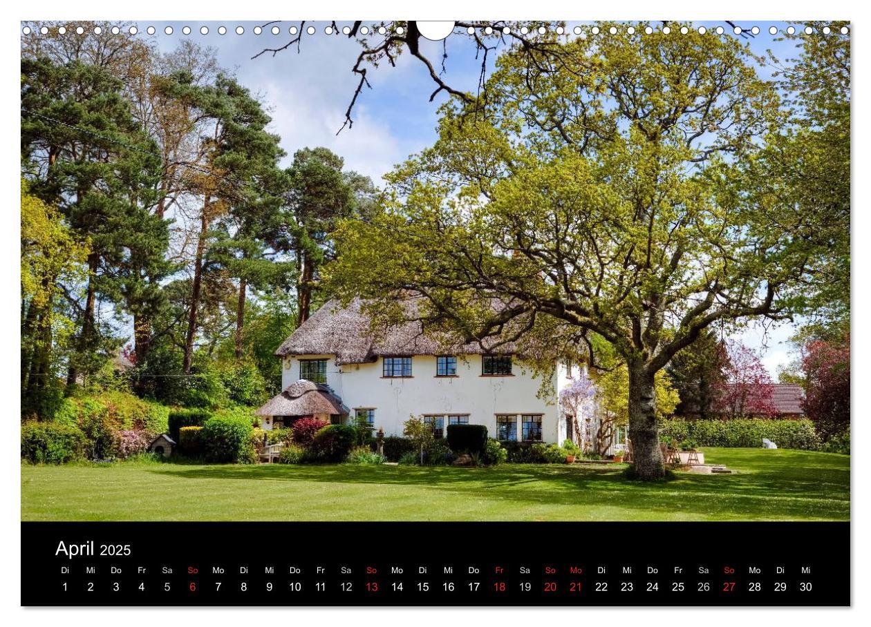 Bild: 9783435475964 | New Forest - England (Wandkalender 2025 DIN A3 quer), CALVENDO...