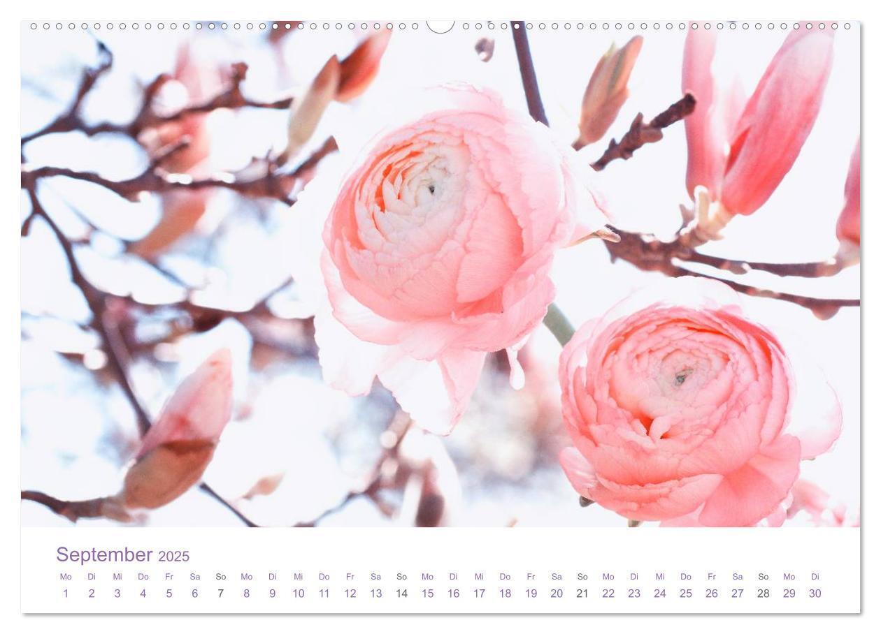 Bild: 9783435809516 | Blumen &amp; Blüten Träume (Wandkalender 2025 DIN A2 quer), CALVENDO...